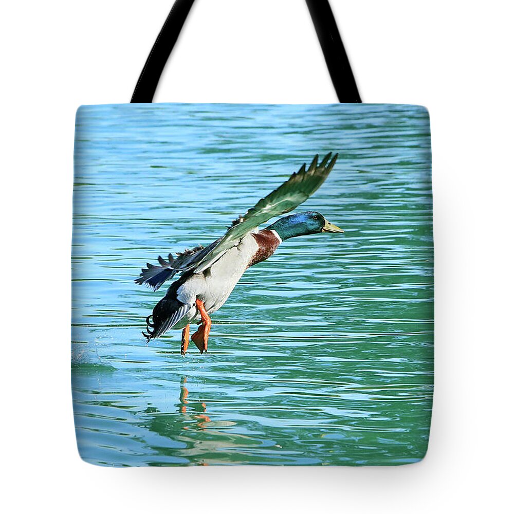Duck Tote Bag featuring the photograph Almost Down by Shoal Hollingsworth