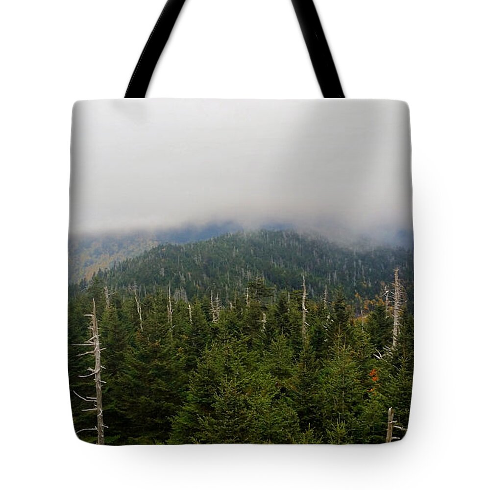 Clingmans Dome Tote Bag featuring the photograph Almost Touching the Clouds by Ally White