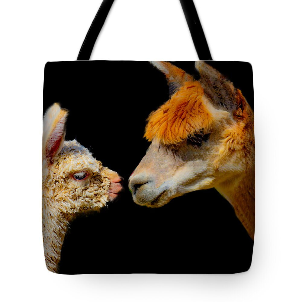 Alpaca Tote Bag featuring the photograph Alpaca Reunion by Jonny D