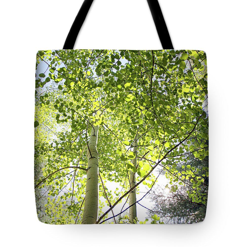 Nature Tote Bag featuring the photograph Alpine Glow by Lincoln Rogers
