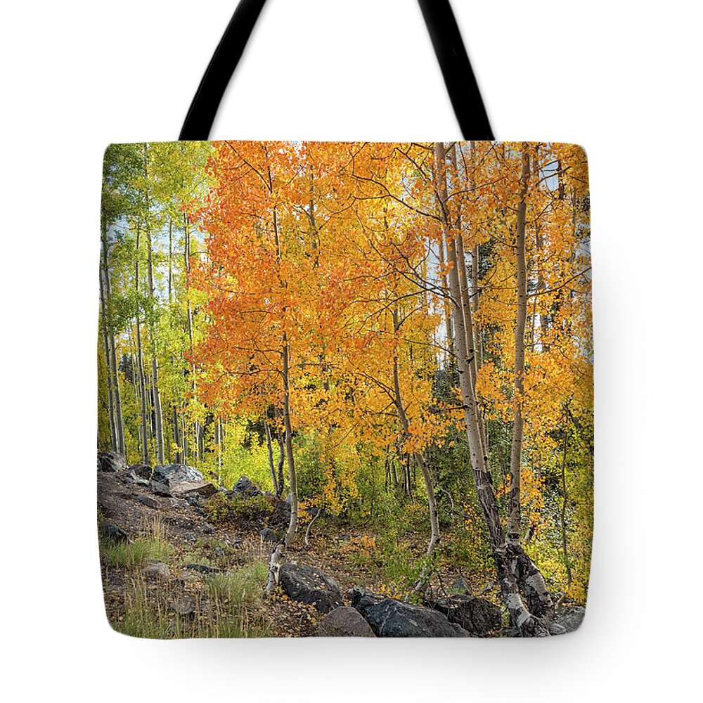 Aspens Tote Bag featuring the photograph Amber Aspens by Denise Bush