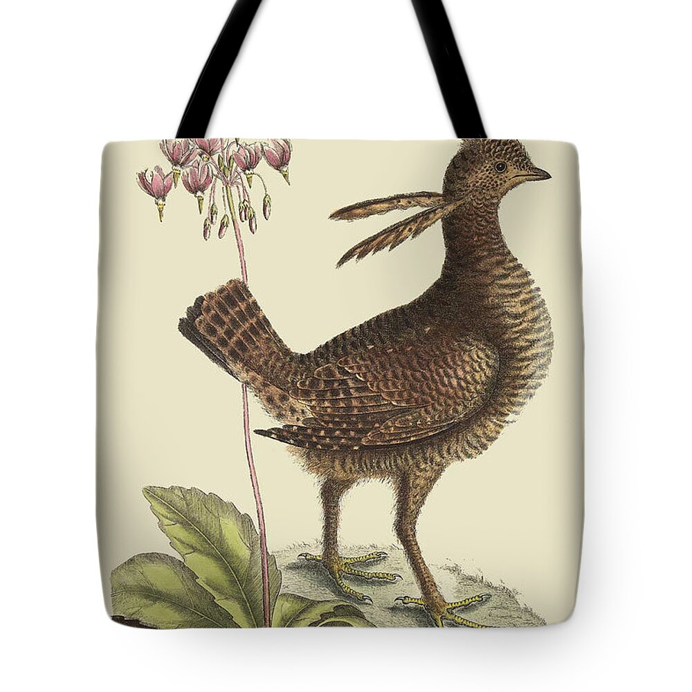 Nature Tote Bag featuring the painting Amercan Partridge by Mark Catesby