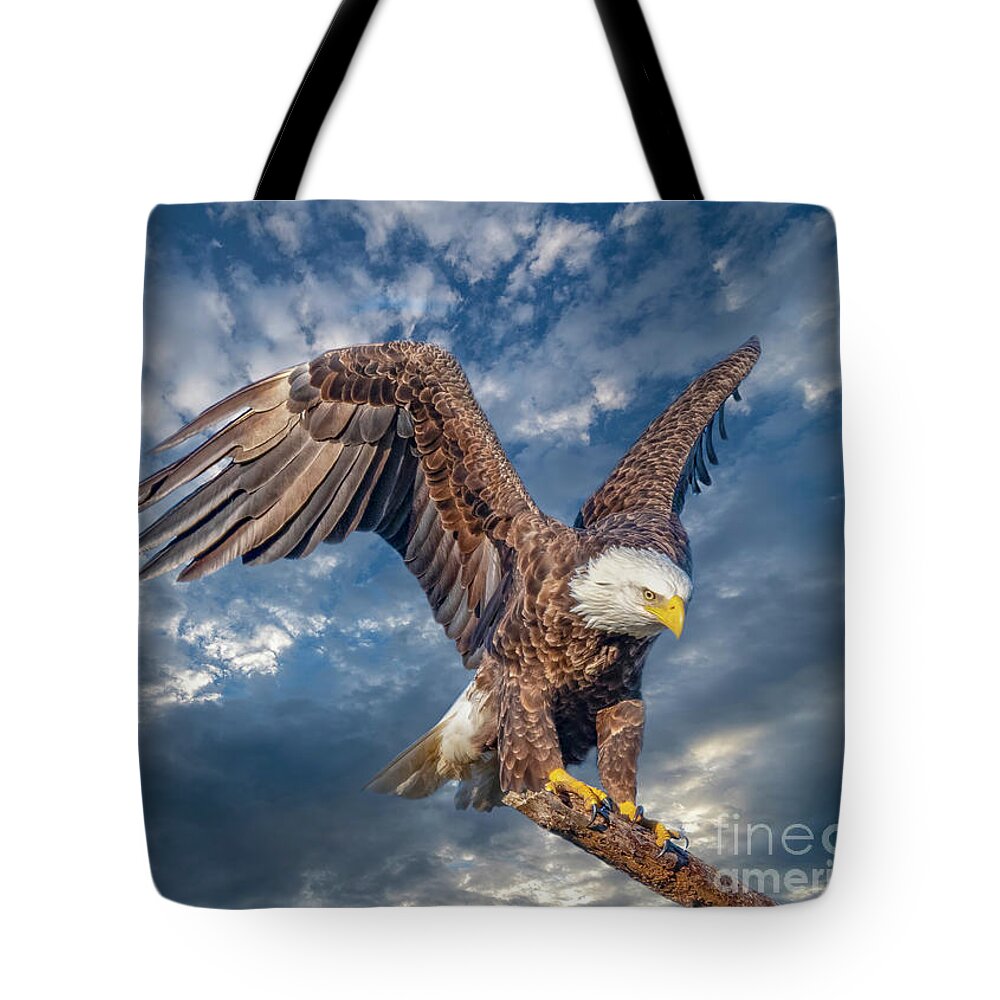 Eagles Tote Bag featuring the photograph American Bald Eagle Incoming TWO by DB Hayes