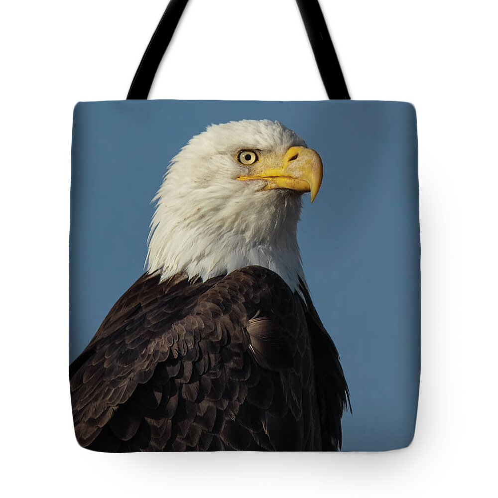 Raptor Tote Bag featuring the photograph American Bald Eagle Portrait 2 by Rick Mosher
