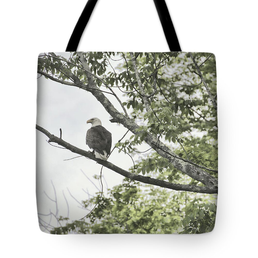 America Tote Bag featuring the photograph American Eagle by JAMART Photography