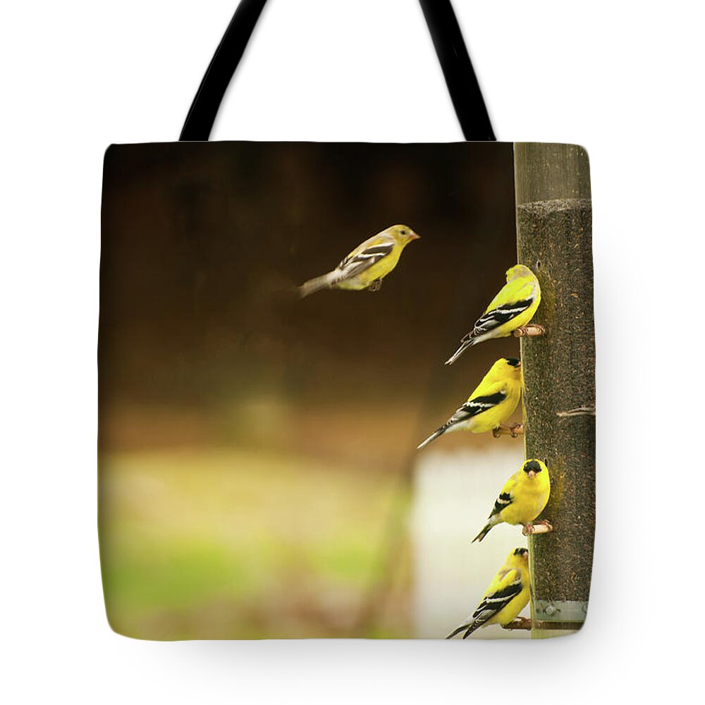 Animal Themes Tote Bag featuring the photograph American Gold Finch by Jeknudson