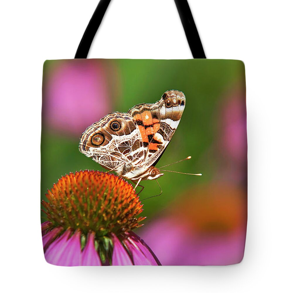 Butterfly Tote Bag featuring the photograph American Painted Lady Butterfly by Christina Rollo