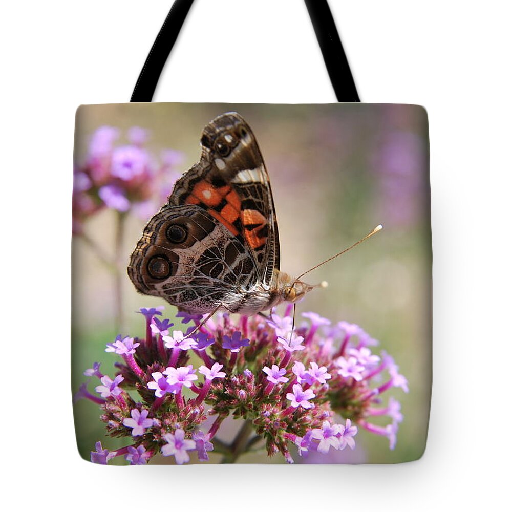 Fort Worth Tote Bag featuring the photograph American Painted Lady Butterfly by Linda Trine
