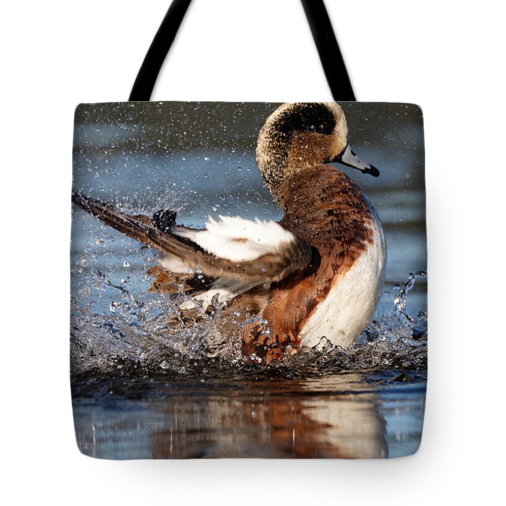 American Wigeon Tote Bag featuring the photograph American Wigeon 2 by Sue Harper
