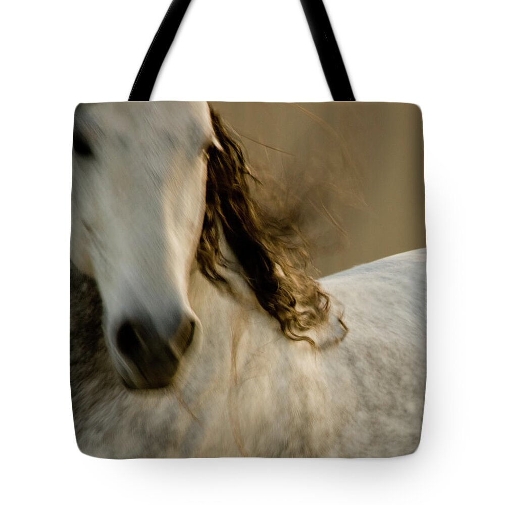 Andalusia Tote Bag featuring the photograph Americano 1 by Catherine Sobredo