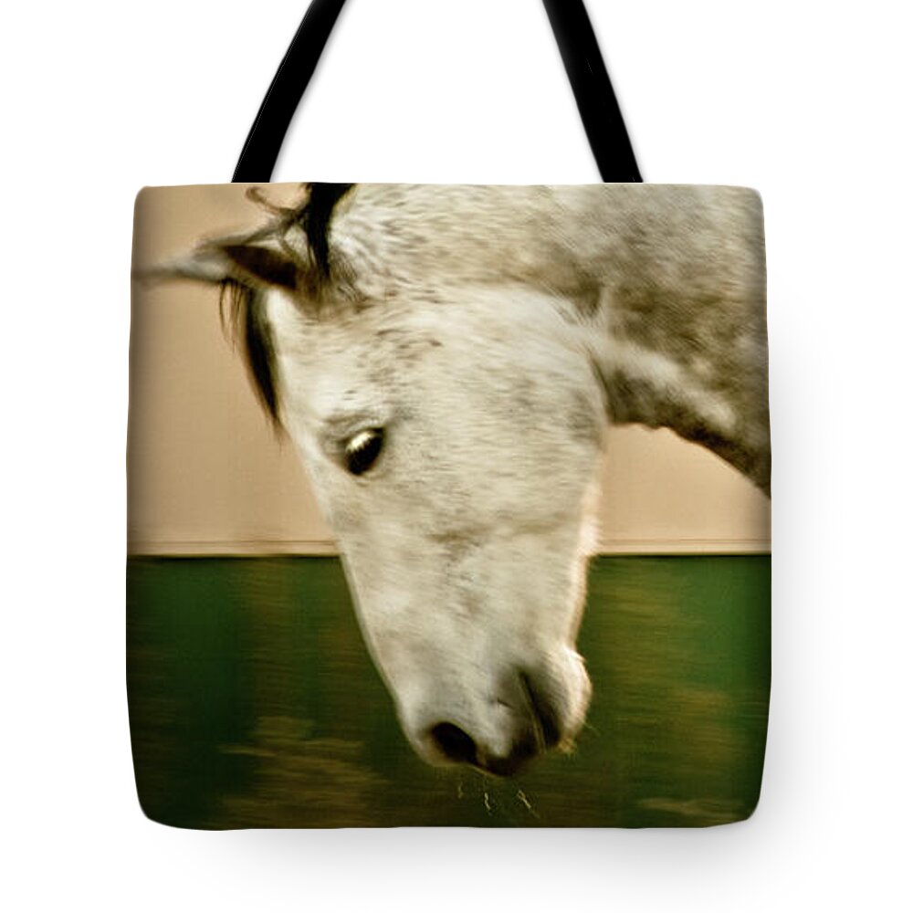 Andalusia Tote Bag featuring the photograph Americano 14 by Catherine Sobredo