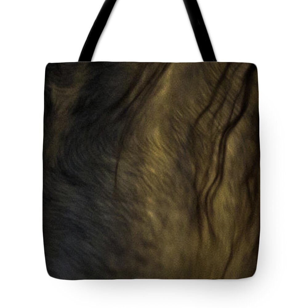 Andalusia Tote Bag featuring the photograph Americano 20 by Catherine Sobredo