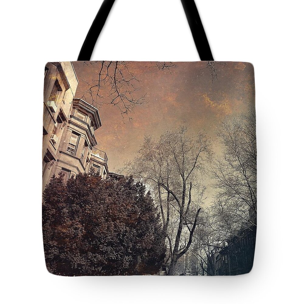 Brooklyn Tote Bag featuring the photograph Among the Brownstones - Gift for New Yorkers by Onedayoneimage Photography