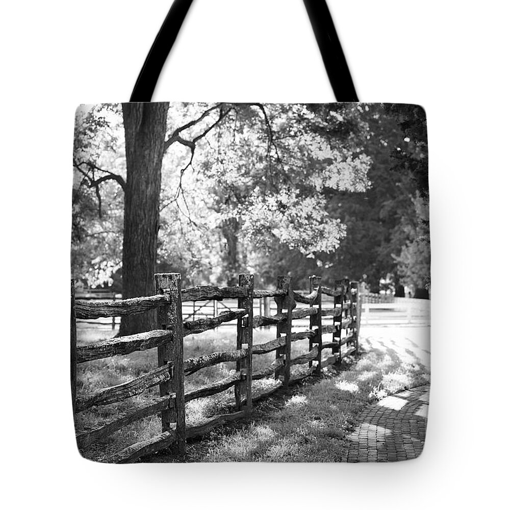 Colonial Williamsburg Tote Bag featuring the photograph An Afternoon in Williamsburg by Lara Morrison