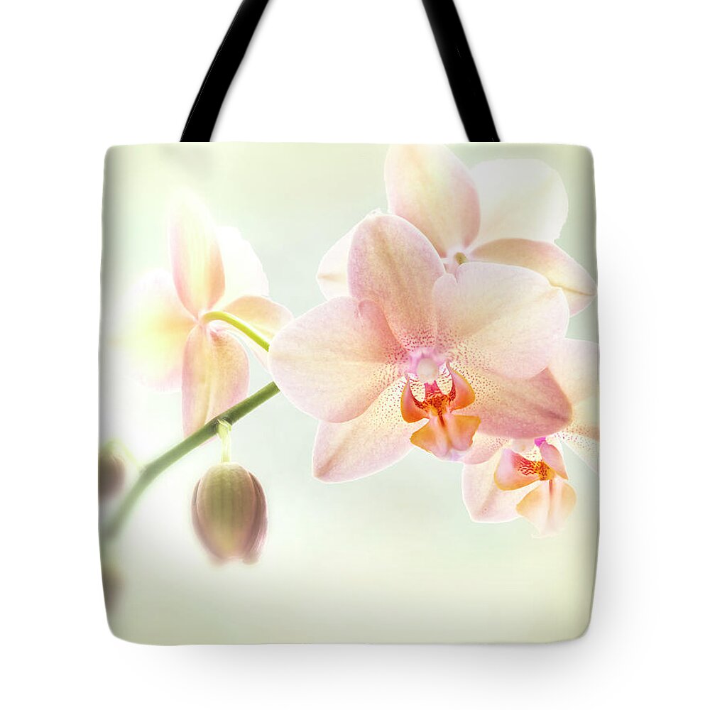 Beautiful Tote Bag featuring the photograph An Orchid spray. by Usha Peddamatham