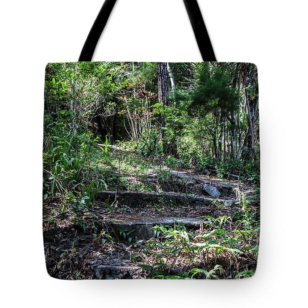 Central America Tote Bag featuring the photograph Ancient Steps by Kathy McClure