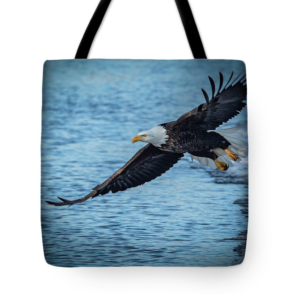 Eagle Tote Bag featuring the photograph And Away We Go by Laura Hedien