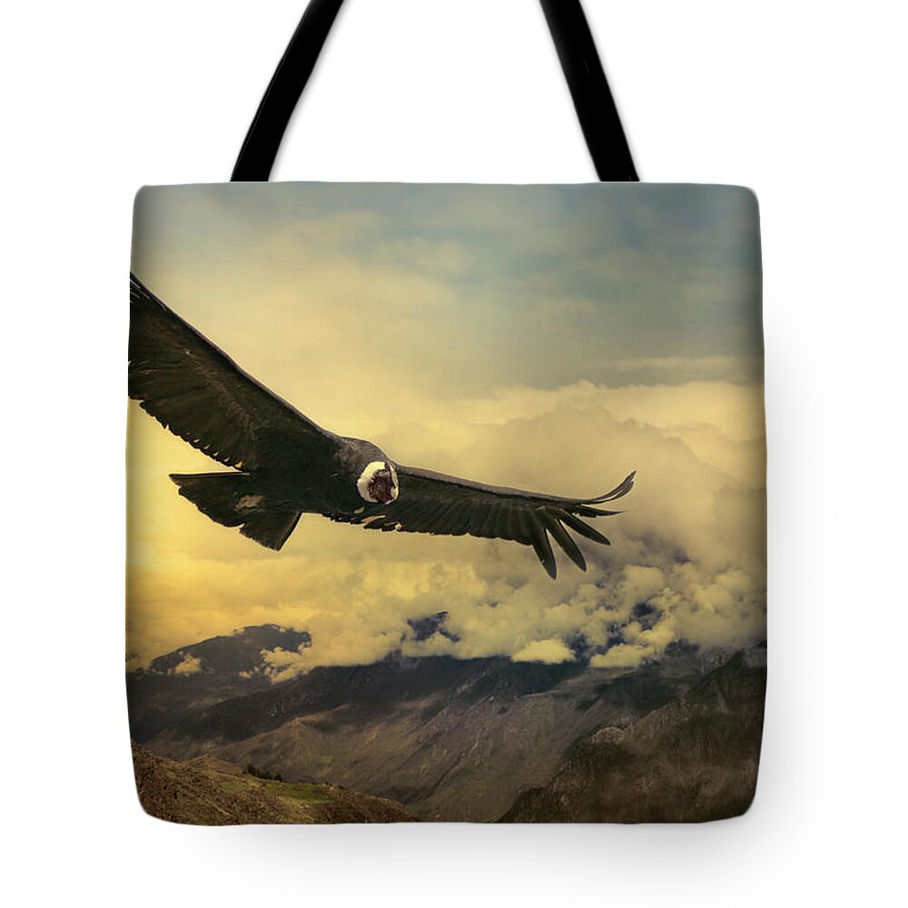Animal Themes Tote Bag featuring the photograph Andean Condor by Istvan Kadar Photography