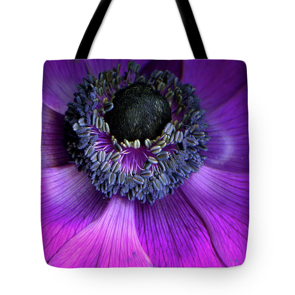 Windflower Tote Bag featuring the photograph Anemone Coronaria by Photograph By Magda Indigo