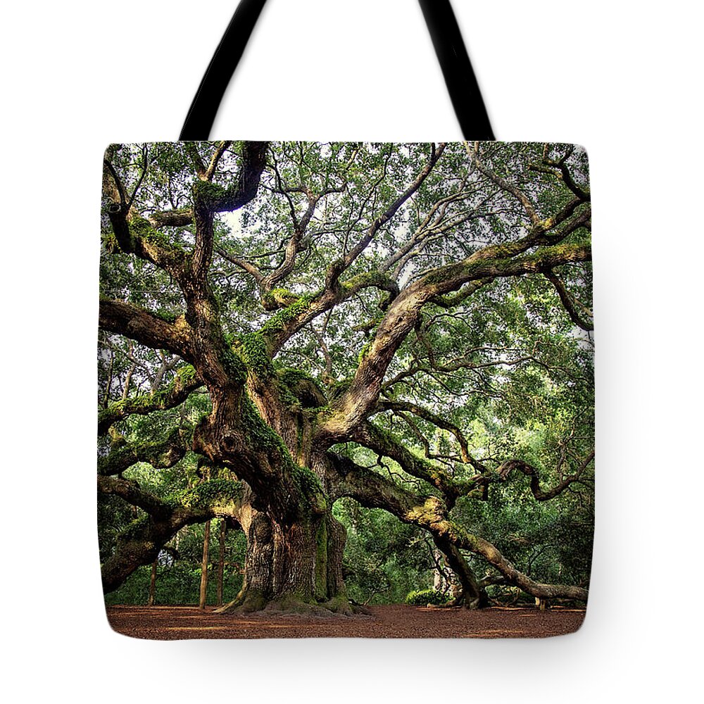 Carolinas Tote Bag featuring the photograph Angel Oak Tree by Lana Trussell