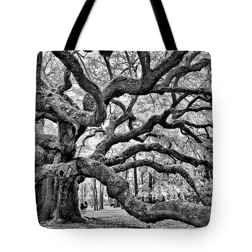 Charleston Tote Bag featuring the photograph Angel Oak Tree Black - White by Louis Dallara