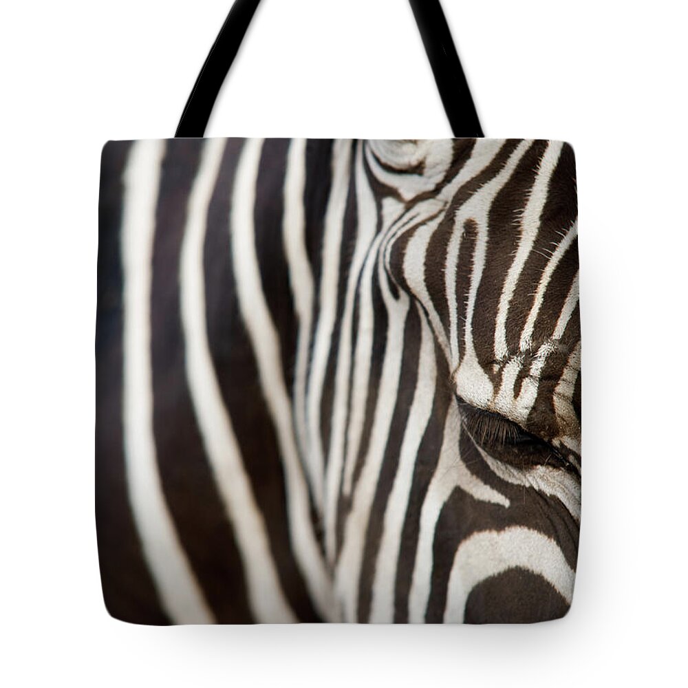 Animal Zebra Stripes Black And White Tote Bag by Snapphoto - Fine Art  America