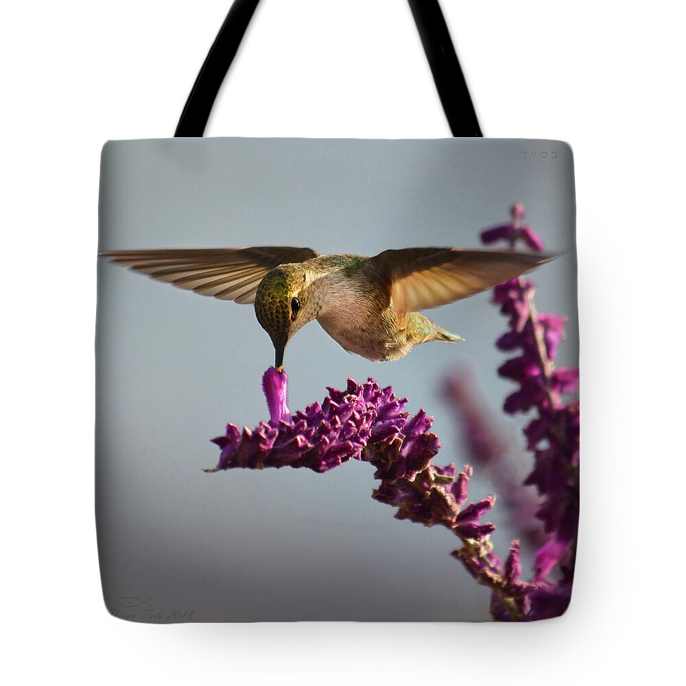 Wildlife Tote Bag featuring the photograph Anna's Hummingbird Sipping Nectar from Salvia Flower by Brian Tada