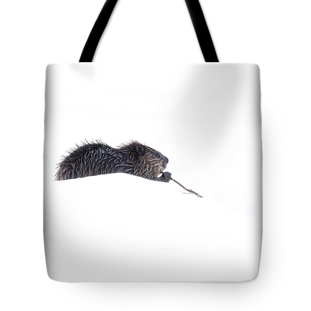 Beaver Tote Bag featuring the photograph Another Day at the Lodge by Penny Meyers
