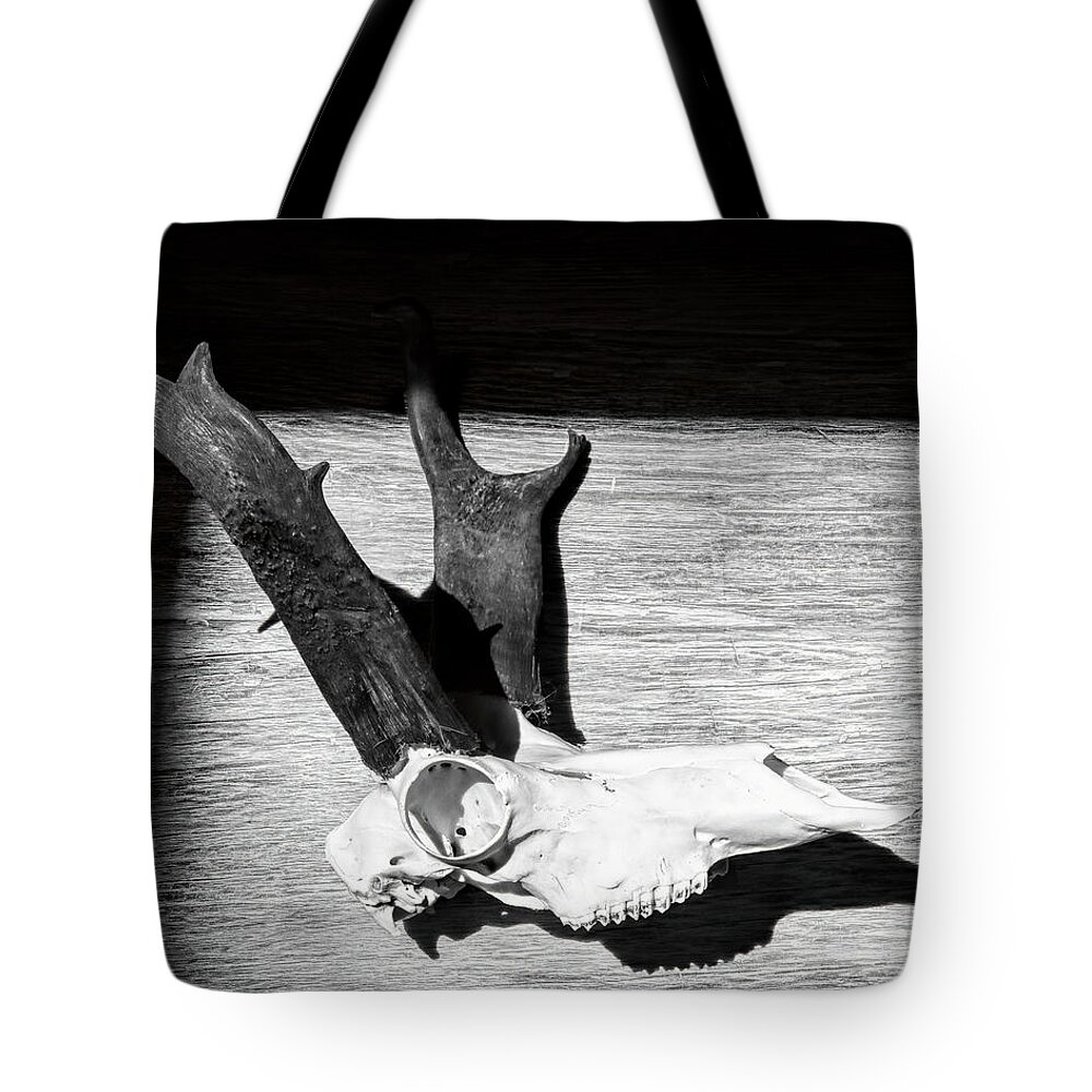 Kansas Tote Bag featuring the photograph Antelope 001 by Rob Graham