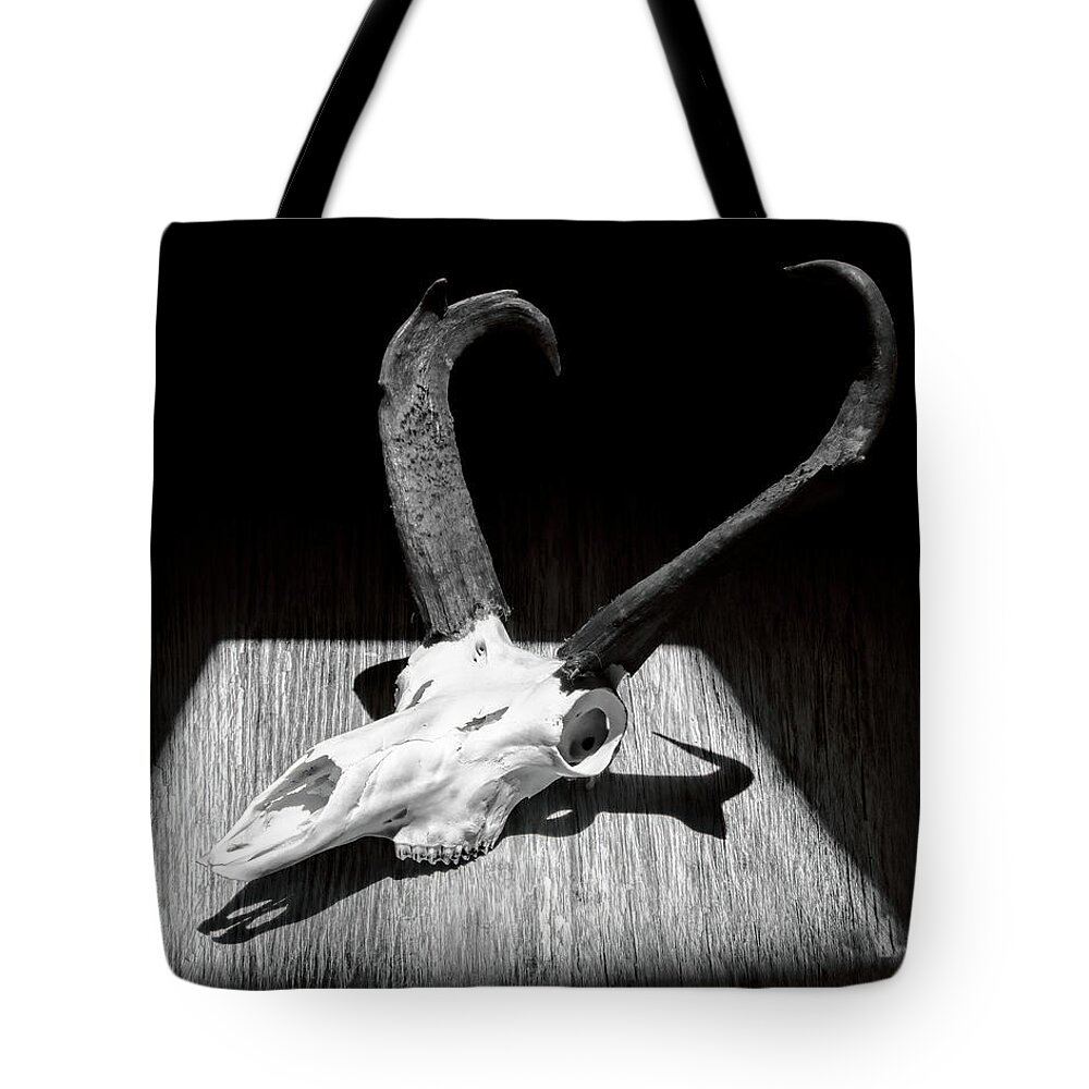 Kansas Tote Bag featuring the photograph Antelope 003 by Rob Graham