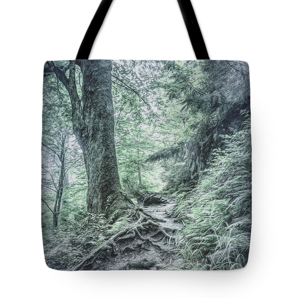 Appalachia Tote Bag featuring the photograph Appalachian Trail in Cool Gray Tones by Debra and Dave Vanderlaan