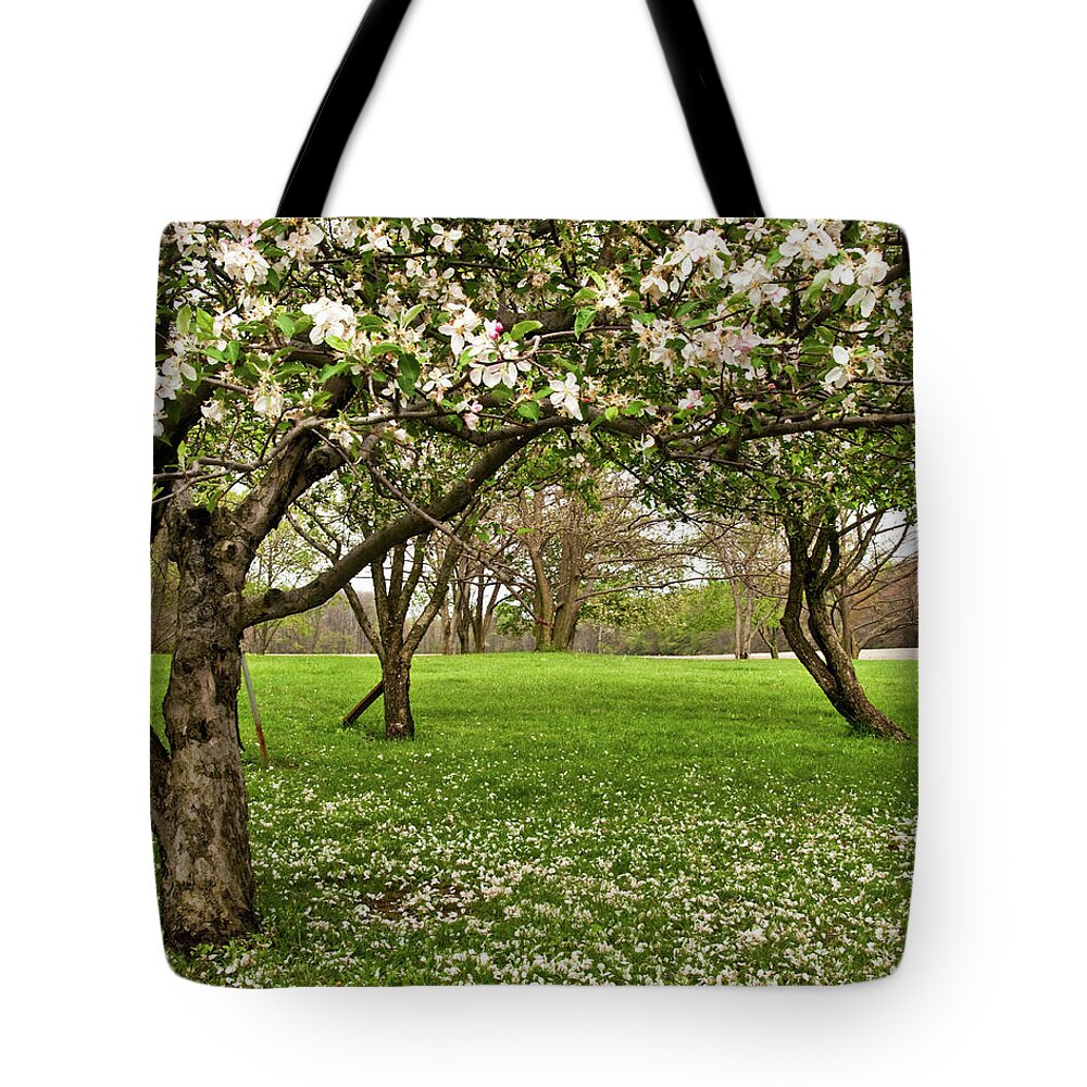 Spring Tote Bag featuring the photograph Apple Orchard by Minnie Gallman