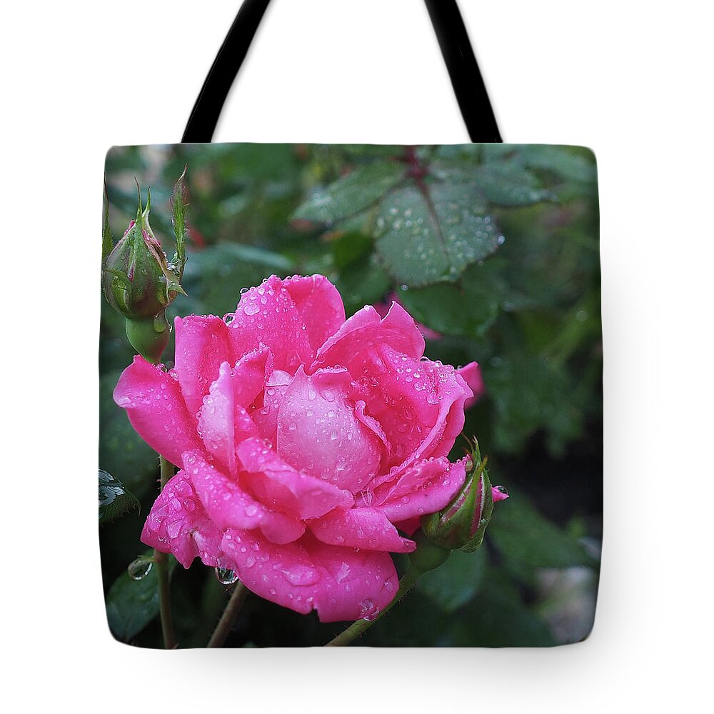 Flower Tote Bag featuring the photograph April Flowers 1 by C Winslow Shafer