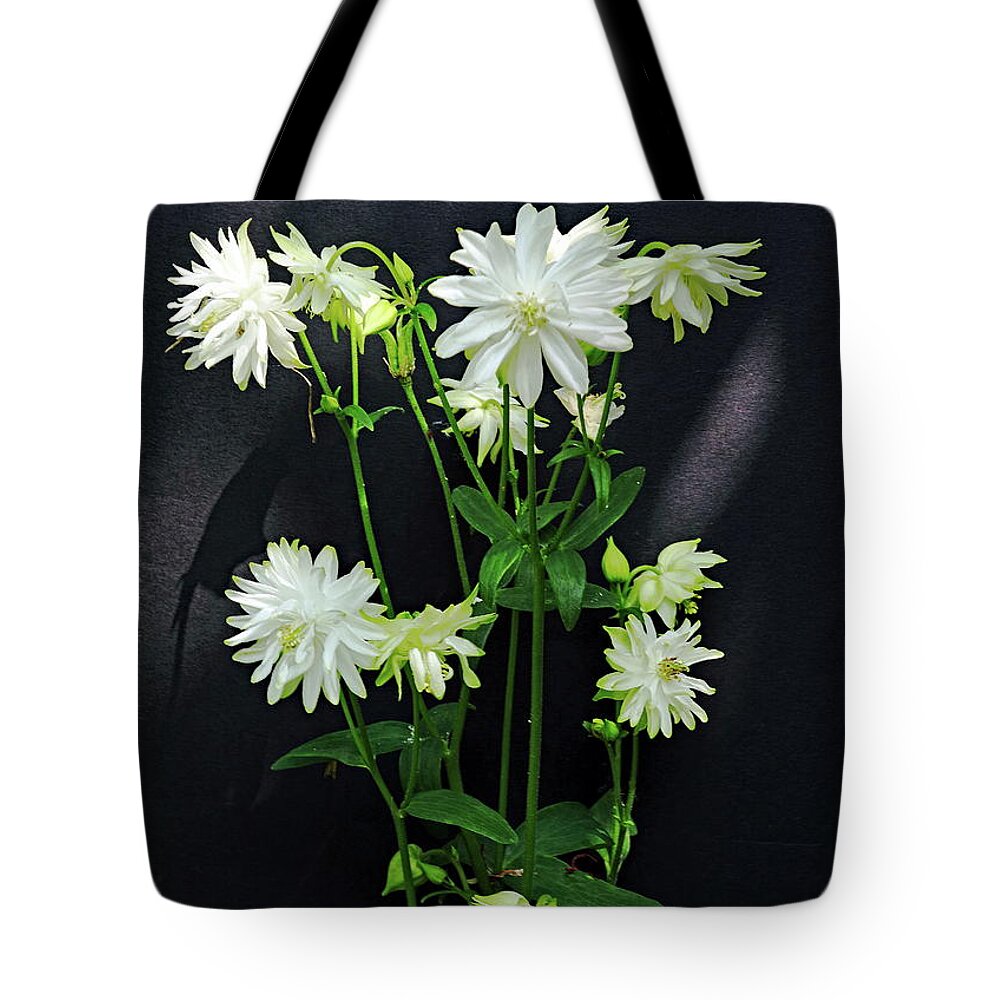 Aquilegia Tote Bag featuring the photograph Aquilegia Vulgaris Lime Sorbet by Jeff Townsend