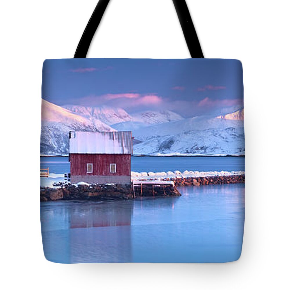 Dawn Tote Bag featuring the photograph Arctic Rorbeur by Antonyspencer