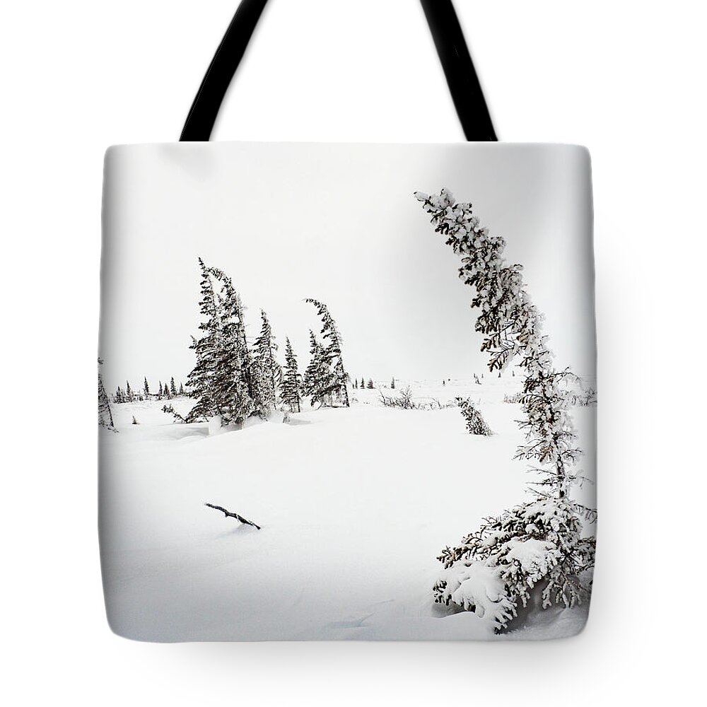 Churchill Tote Bag featuring the photograph Arctic Scene by Minnie Gallman