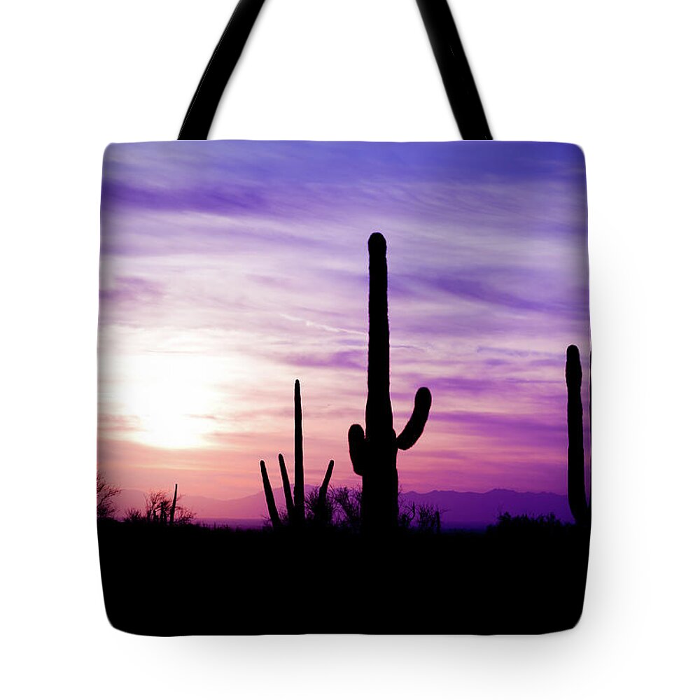 Saguaro Cactus Tote Bag featuring the photograph Arizona Desert Cactus Sagauro Winter by Adamkaz