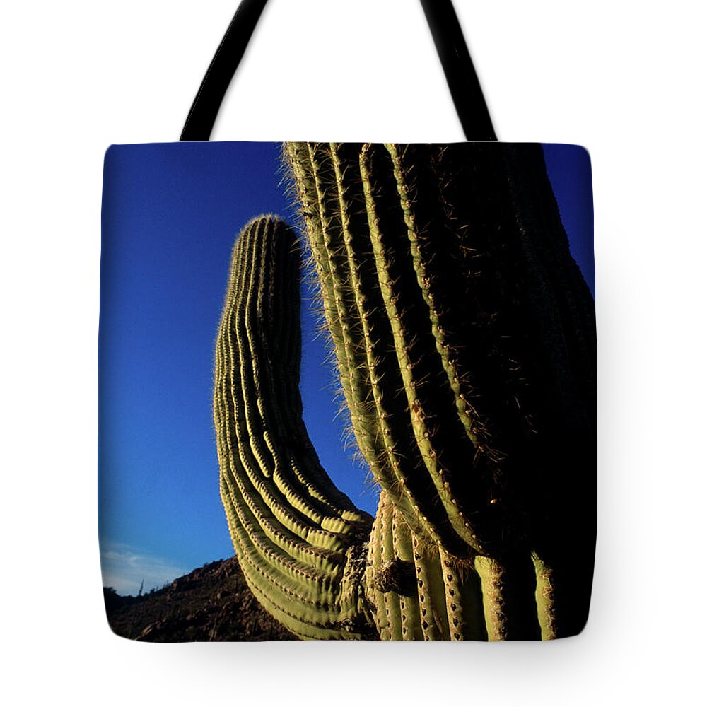 Saguaro Cactus Tote Bag featuring the photograph Arizona - Saguaro Cactus At Dusk by Kickstand