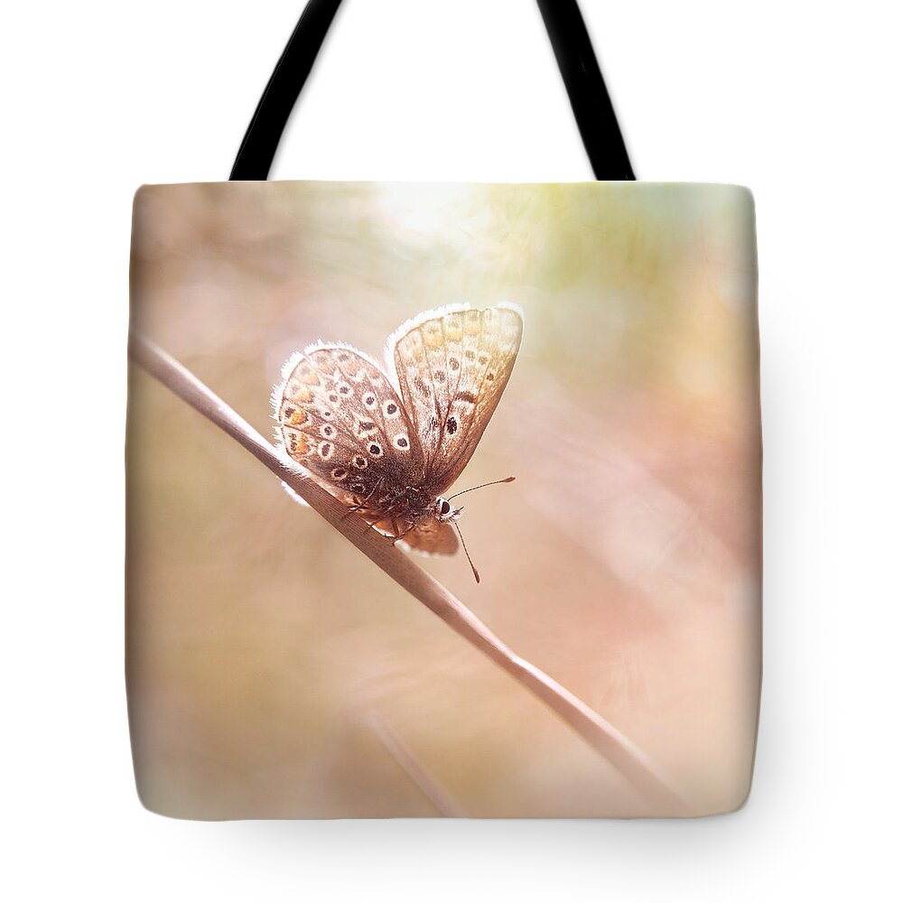 Butterfly Tote Bag featuring the photograph Around The Meadow 5 by Jaroslav Buna