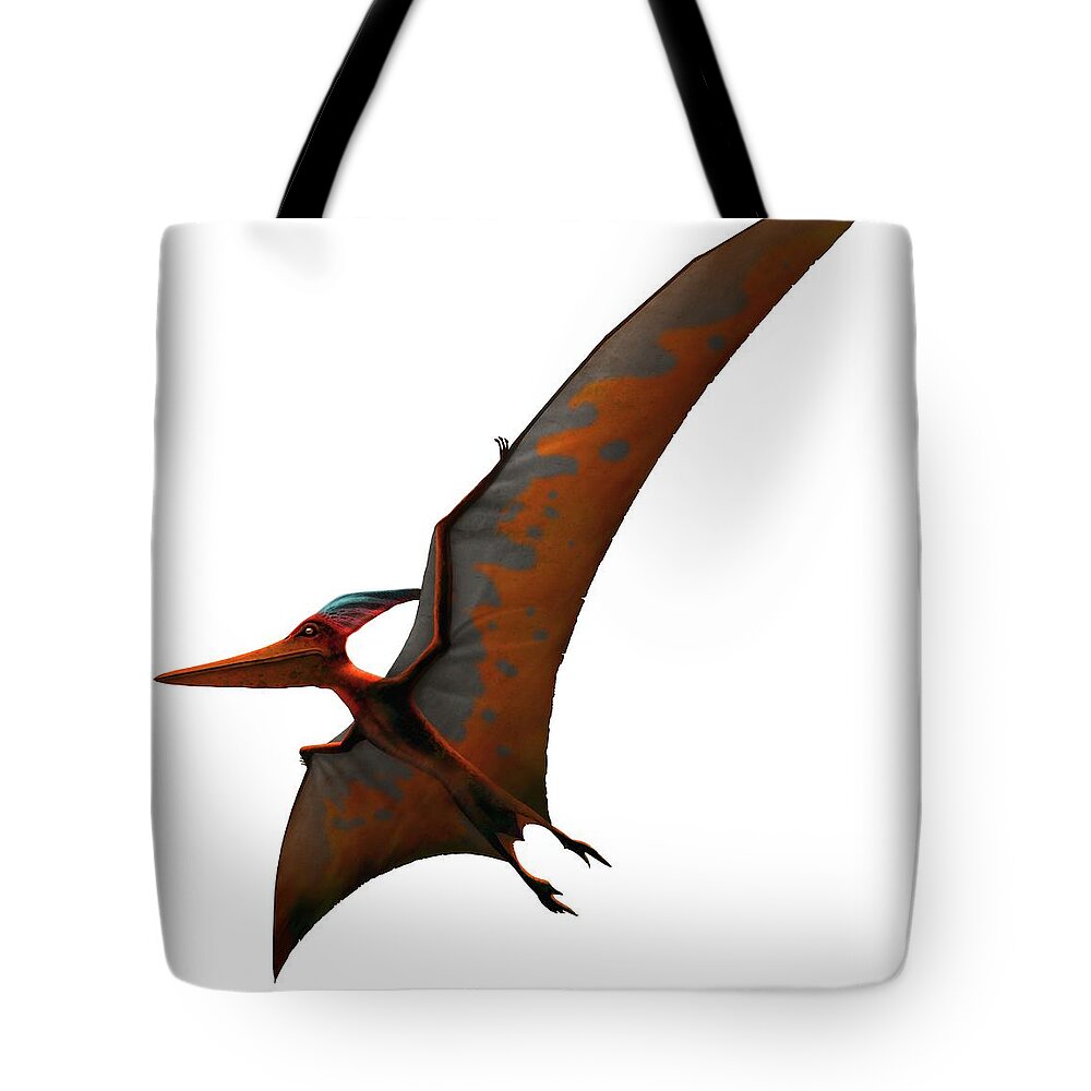 Pteranodon Tote Bag featuring the digital art Artwork Of Pteranodon Sternbergi by Mark Garlick