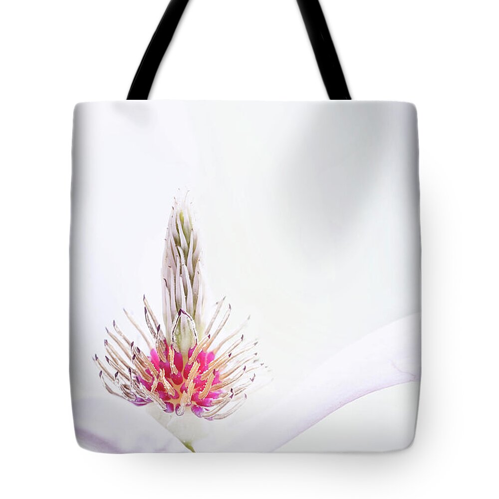 Magnolia Tote Bag featuring the photograph The Heart of a Magnolia by Anita Pollak
