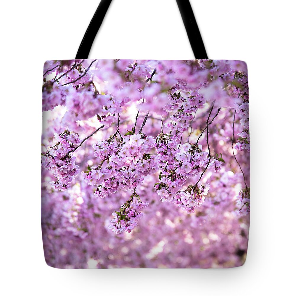 Cherry Tote Bag featuring the photograph Cherry Blossom Flowers by Nicklas Gustafsson