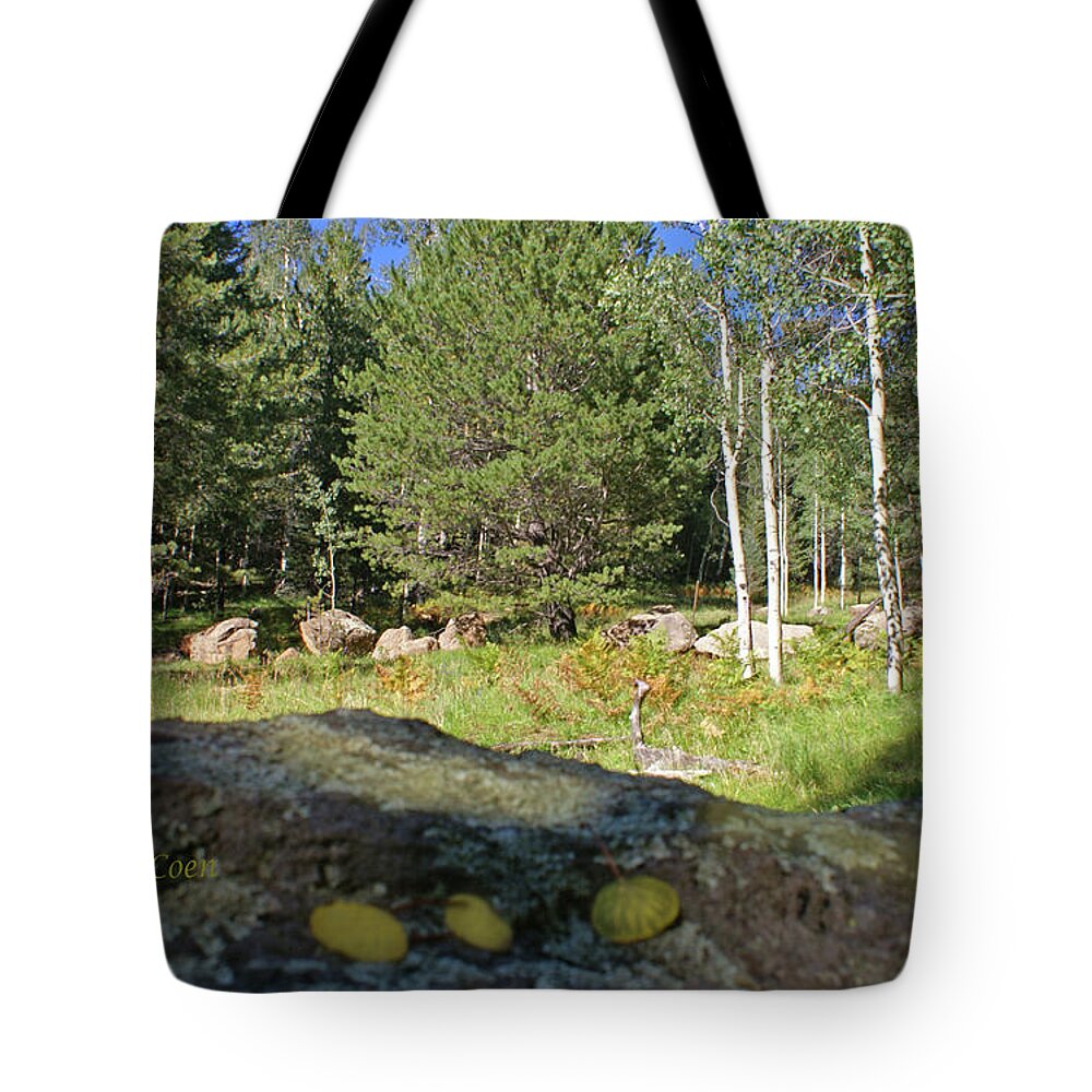 Aspens Tote Bag featuring the photograph Aspens and Leaves by Heather Coen