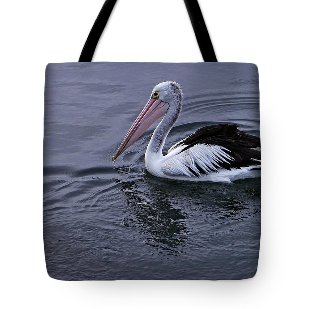 Wildlife Tote Bag featuring the photograph Australian Pelican by Martin Smith