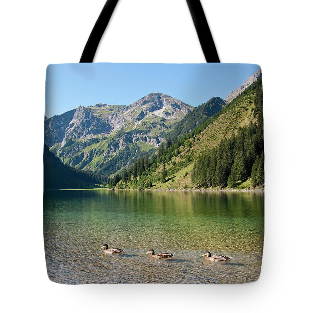 Animal Themes Tote Bag featuring the photograph Austria, View Of Lake Vilsalpsee, Ducks by Westend61