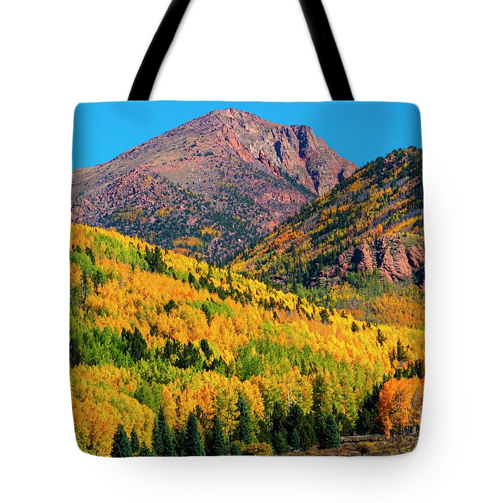 Pikes Peak Tote Bag featuring the photograph Autumn Aspen Leaves of Pikes Peak by Steven Krull
