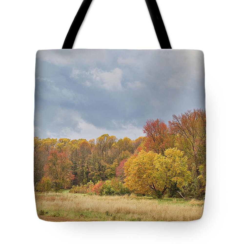 Landscape Tote Bag featuring the photograph Autumn at Pork Chop Pond by Kathy Sherbert