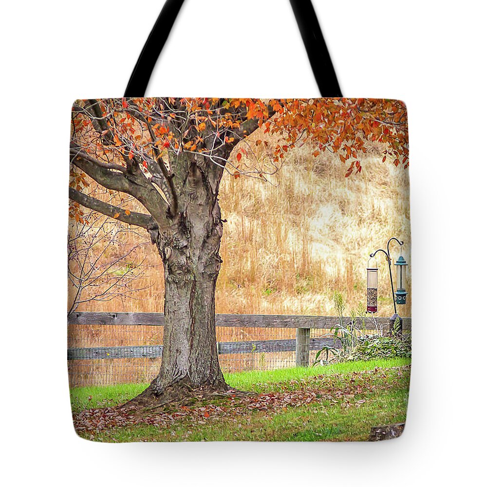 Autumn Tote Bag featuring the photograph Autumn Backyard by Kathy Sherbert