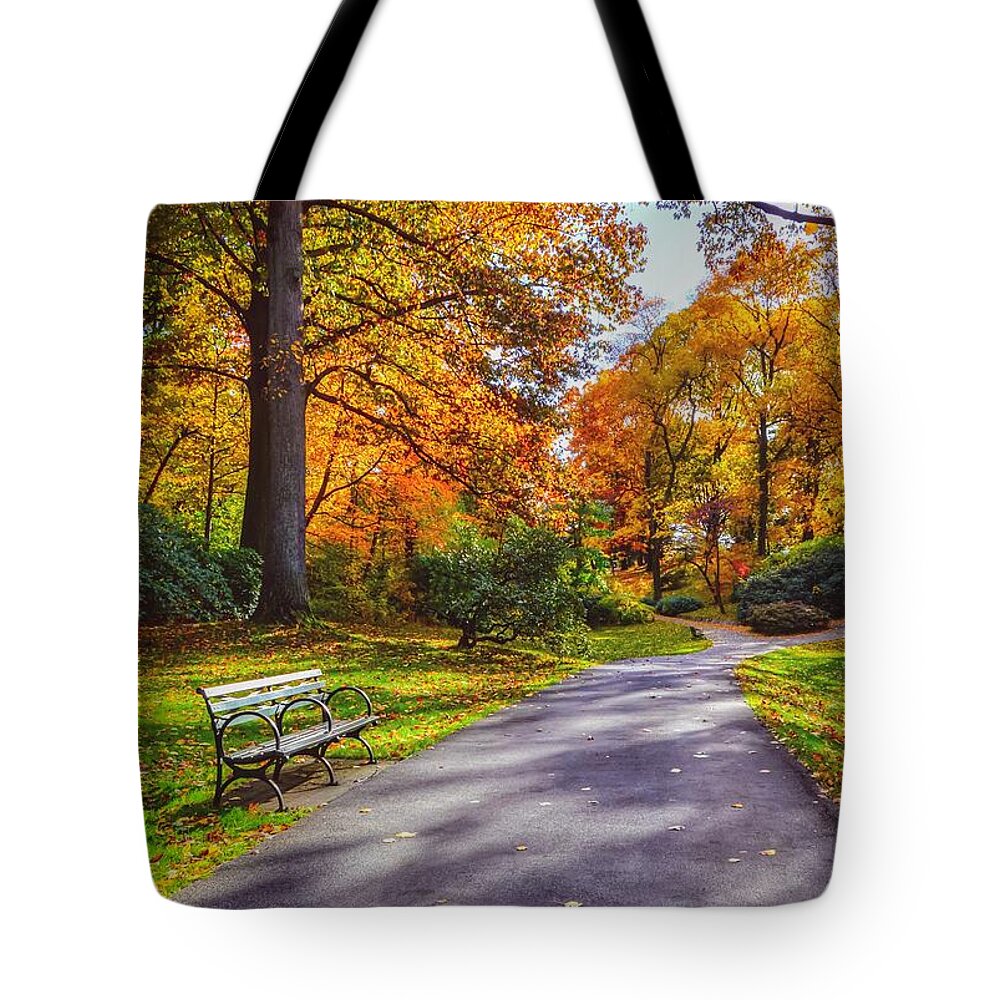 Fall Tote Bag featuring the photograph Autumn Bench by Shannon Kelly