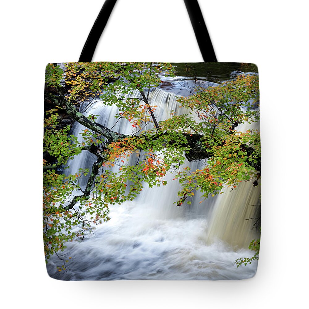 Petit Jean Mountain Tote Bag featuring the photograph Autumn Branch by James Barber